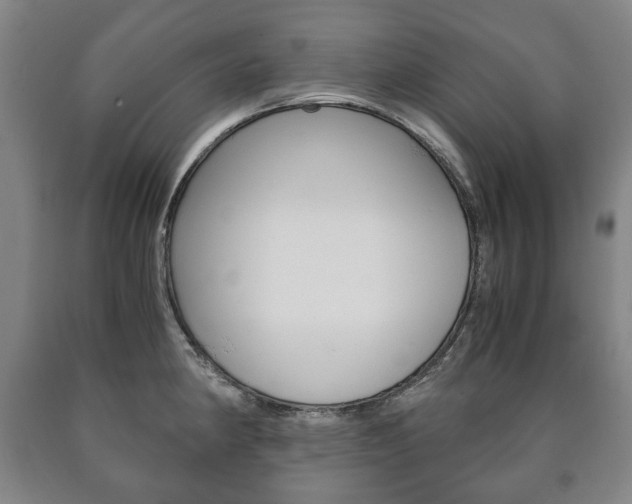 X0000090901190200707301005