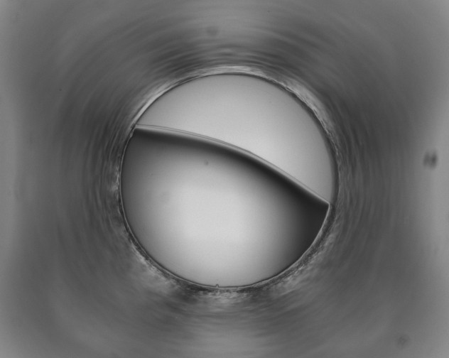 X0000090901193200707301005