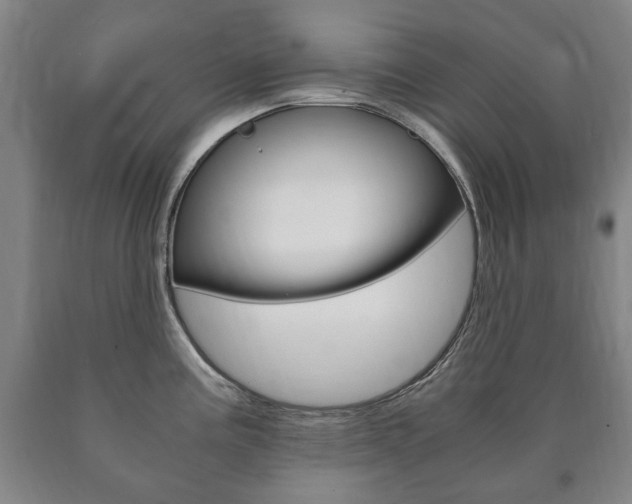 X0000090901195200707301005