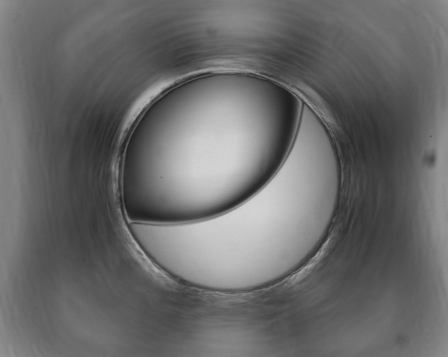 X0000090901196200707301005