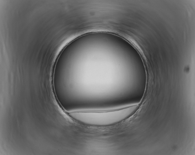 X0000090901197200707301005