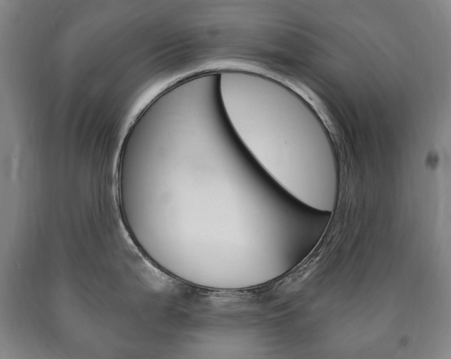 X0000090901199200707301005
