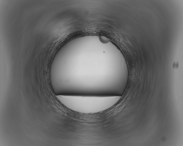 X0000090901201200707301004