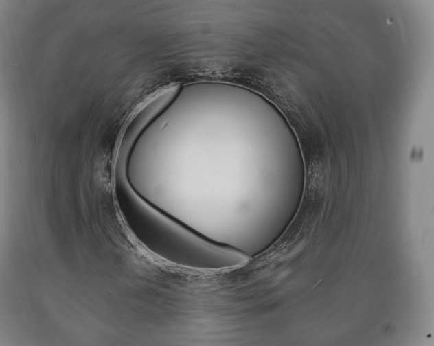 X0000090901202200707301004