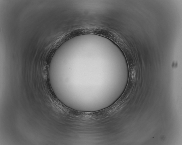 X0000090901204200707301004