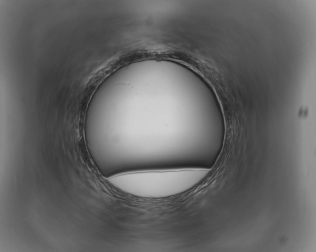 X0000090901205200707301004