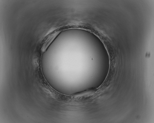 X0000090901206200707301004