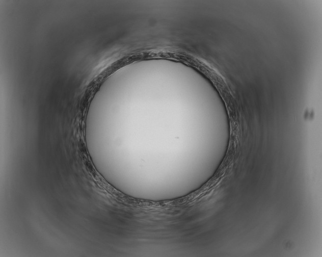 X0000090901207200707301004
