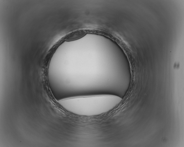 X0000090901208200707301004
