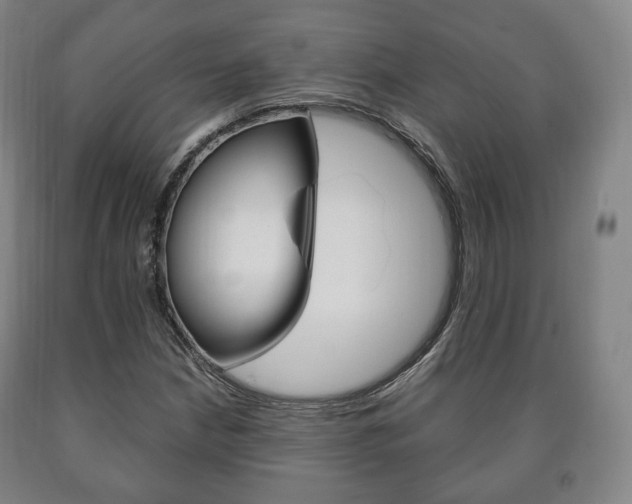 X0000090901210200707301004