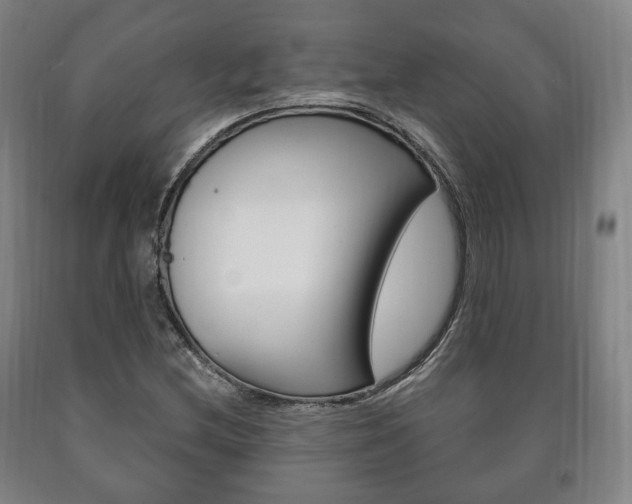X0000090901212200707301004