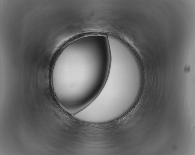 X0000090901214200707301004