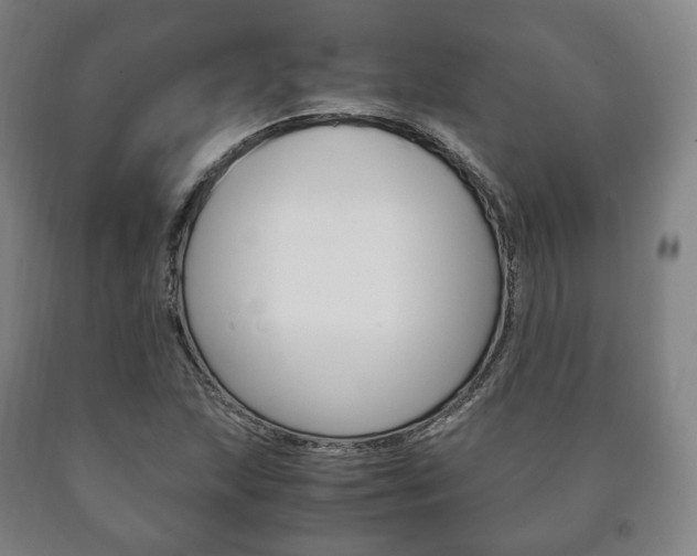 X0000090901215200707301004