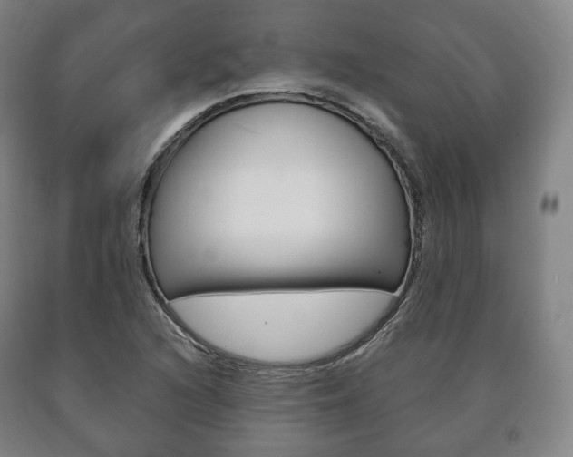 X0000090901216200707301004