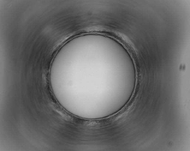 X0000090901217200707301004
