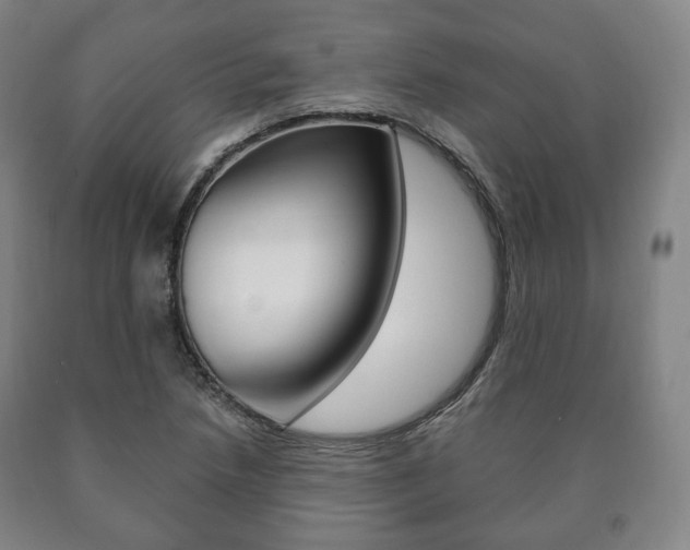 X0000090901218200707301004