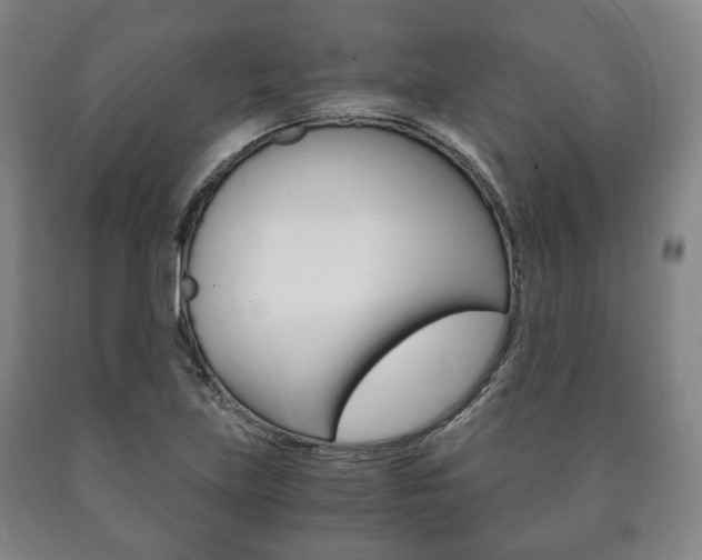 X0000090901219200707301004