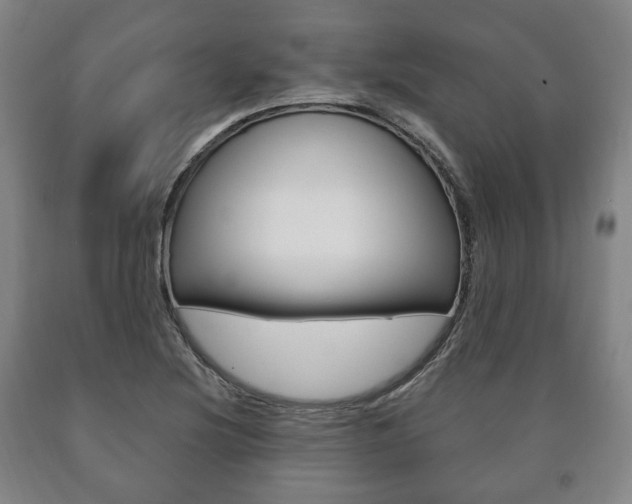 X0000090901220200707301004