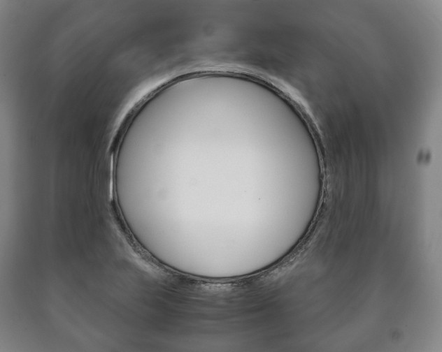 X0000090901223200707301004