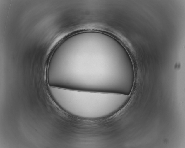 X0000090901224200707301004