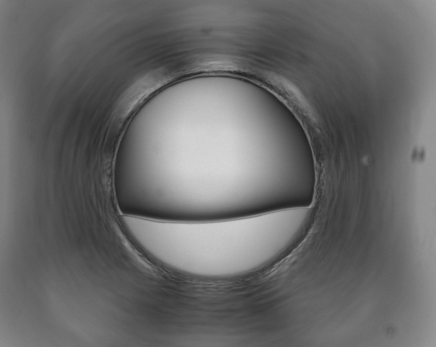 X0000090901225200707301004