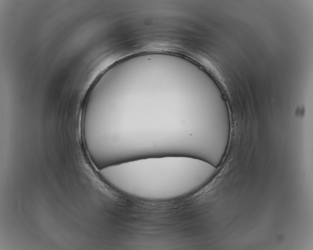 X0000090901227200707301004