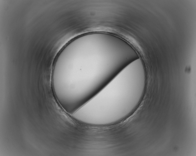 X0000090901228200707301004