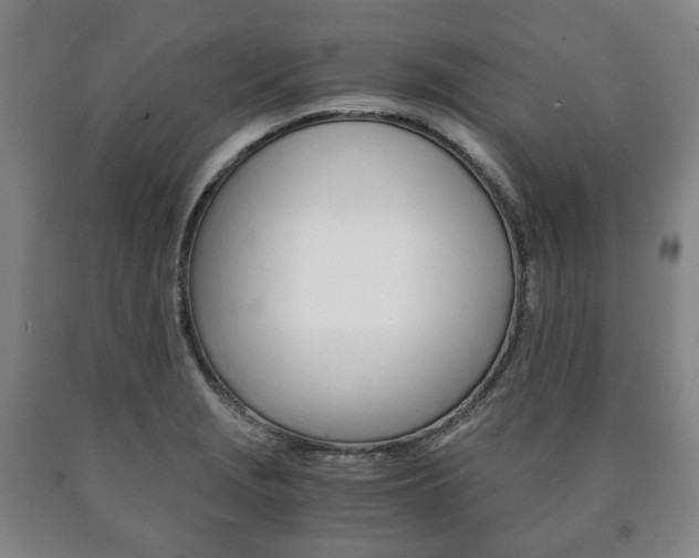 X0000090901229200707301004