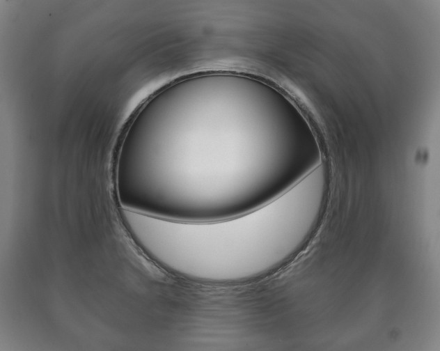 X0000090901230200707301004