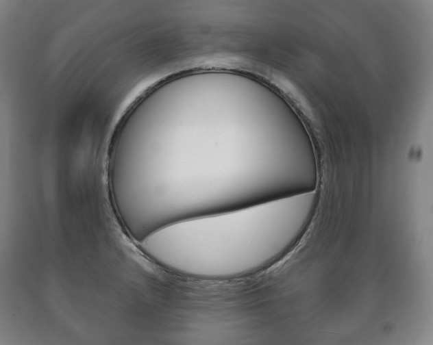 X0000090901232200707301004