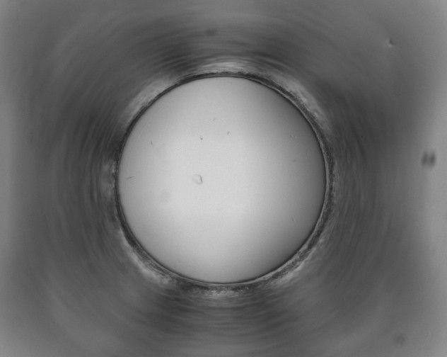 X0000090901233200707301004