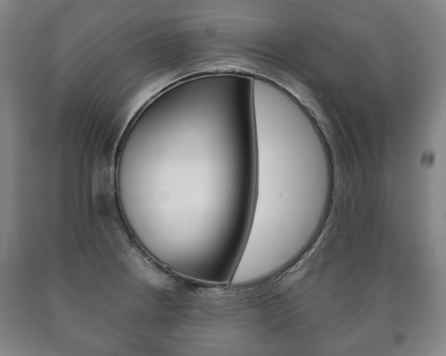 X0000090901234200707301004