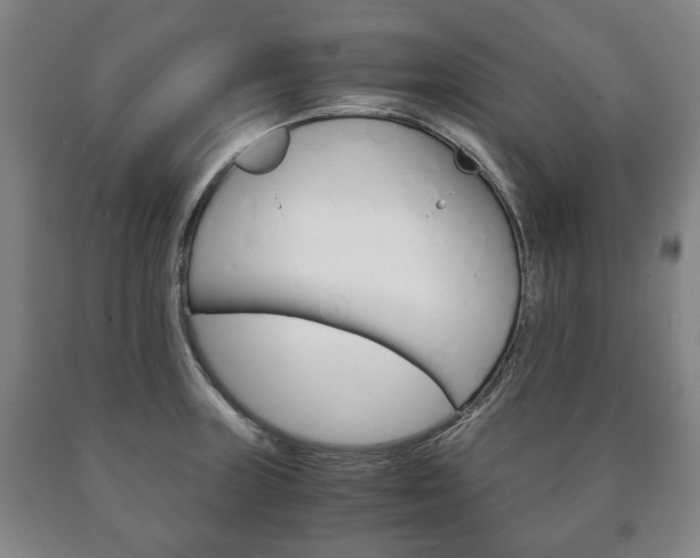 X0000090901235200707301004