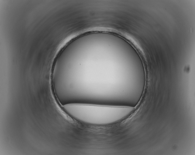 X0000090901237200707301005