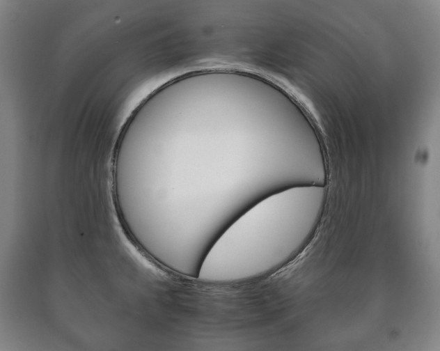 X0000090901239200707301005