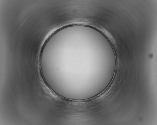 X0000090901240200707301005