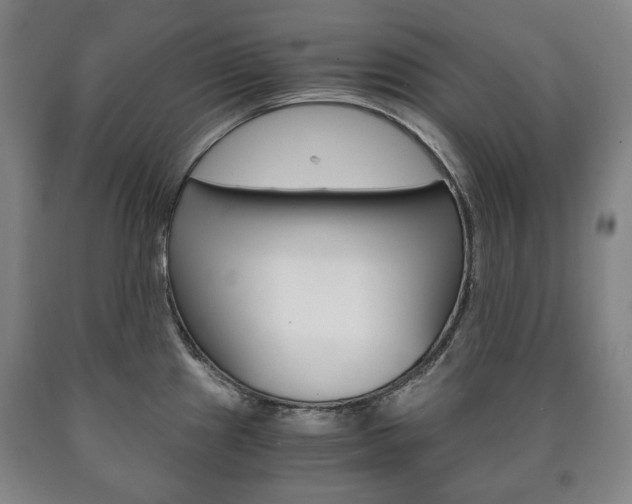 X0000090901241200707301005