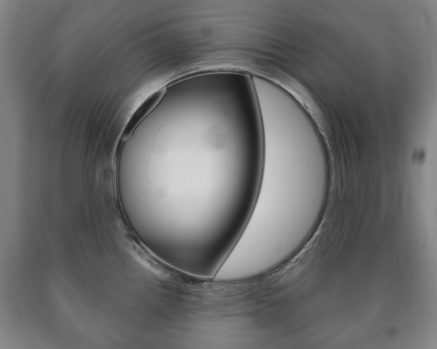 X0000090901242200707301005