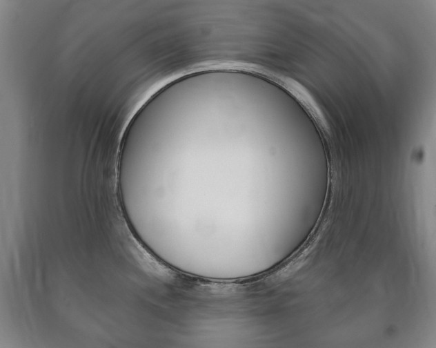 X0000090901244200707301005