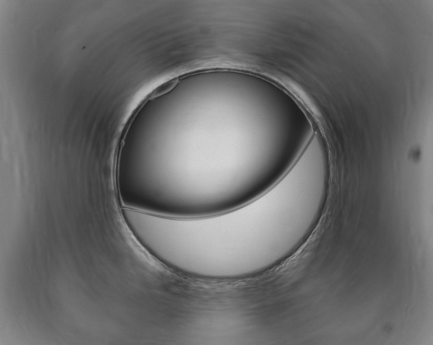 X0000090901246200707301005