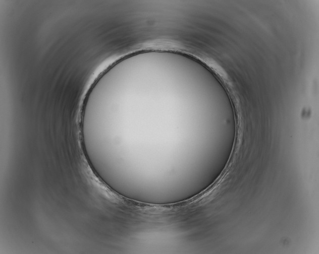 X0000090901248200707301005