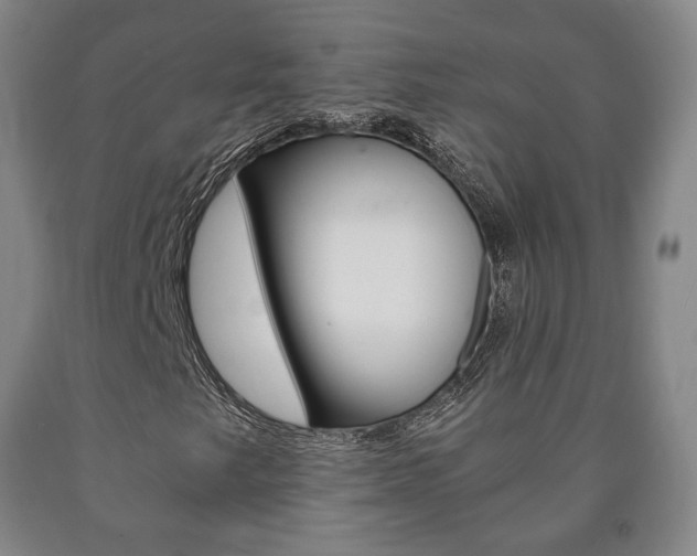 X0000090901249200707301004