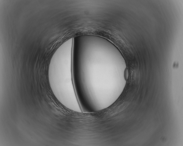 X0000090901250200707301004