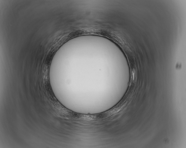 X0000090901251200707301004