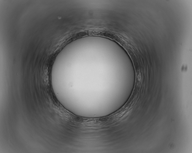 X0000090901252200707301004