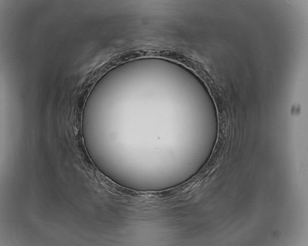 X0000090901253200707301004