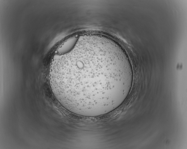 X0000090901255200707301004