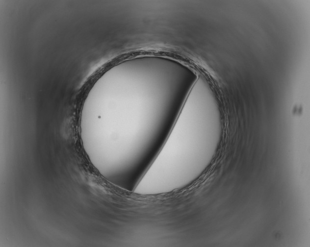 X0000090901256200707301004