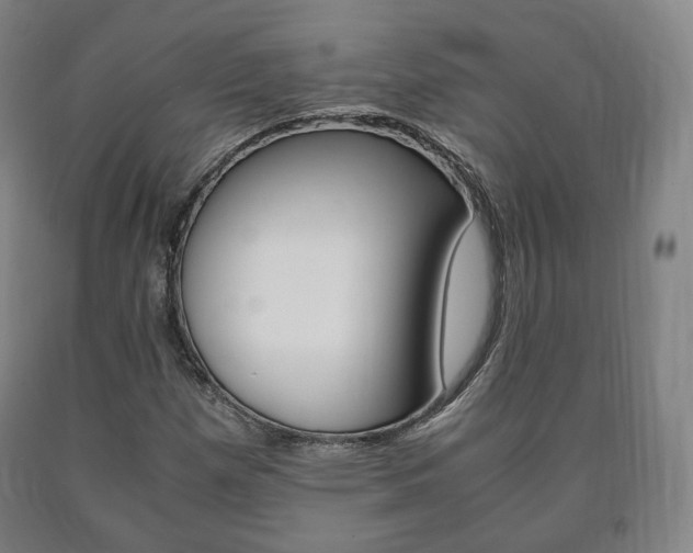 X0000090901257200707301004