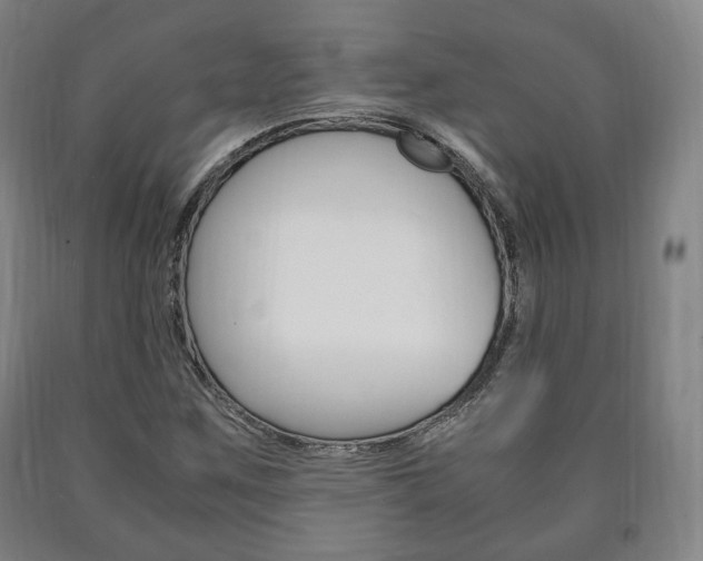 X0000090901259200707301004